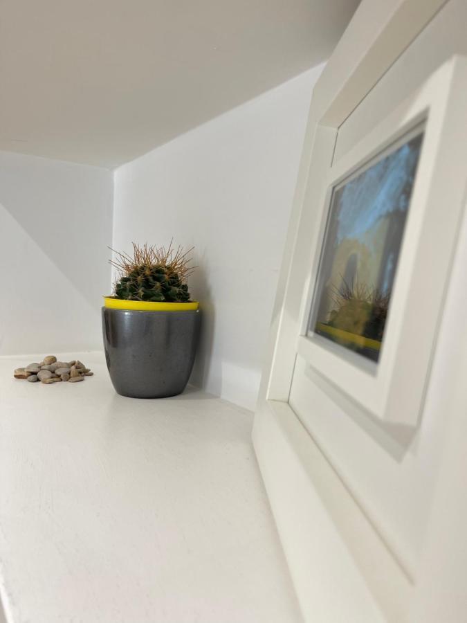 Green Home Roma Dış mekan fotoğraf